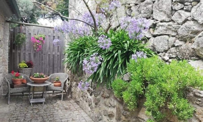 Mangualde Apartment | Authentic apartment in rural area