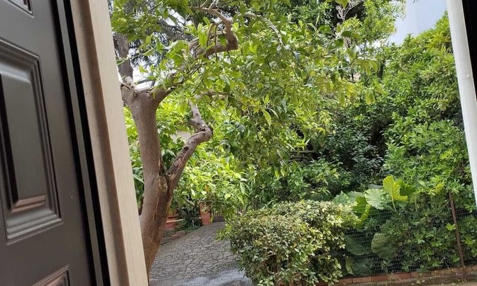Minturno Apartment | Bilocale Centrale