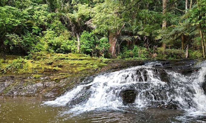 Warkworth Cabin | Hot Tub overlooking a waterfall, near beaches, vineyards, Matakana, Brick Bay