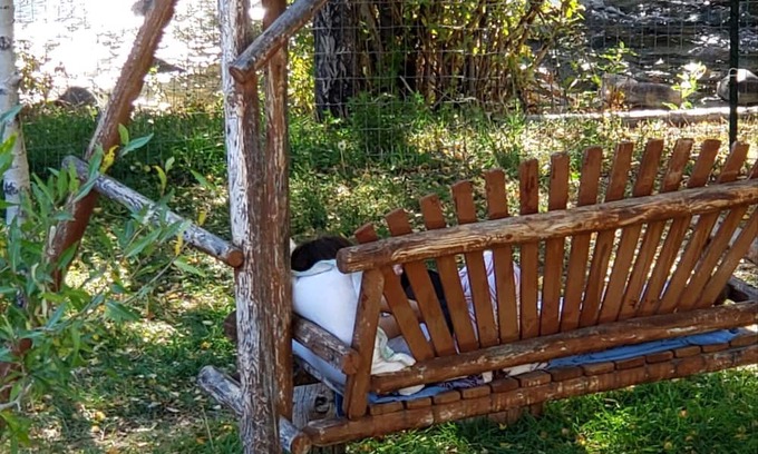 Dubois Cabin | Wonderful 100 year old log cabin on mountain creek, renovated and restored.