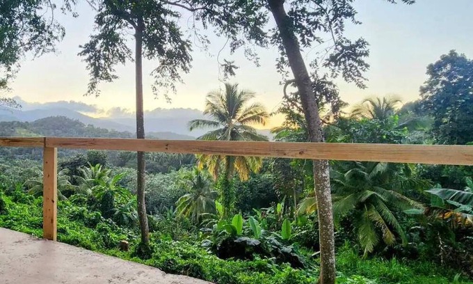Pitahaya House | Finca De Jungla RainForest Retreat