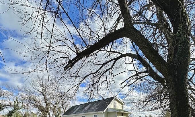 Fredericksburg Cottage | “Little Sligo” Downtown cottage.