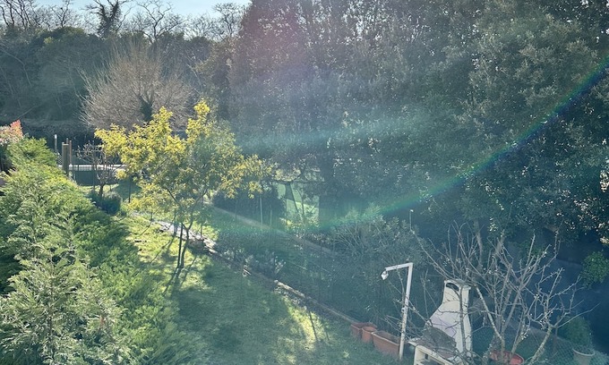Alberoni Apartment | Vrbo Property