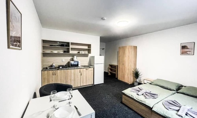 Plzen 3 Apartment | Apartmány Zborovská