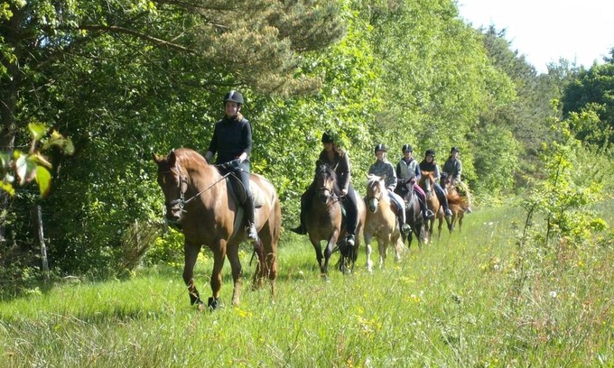 Holtgast Apartment | Ferienwohnung 3 mit 2 Schlafzimmern in Ruhiger Idyllischer Lage, Nordseenähe