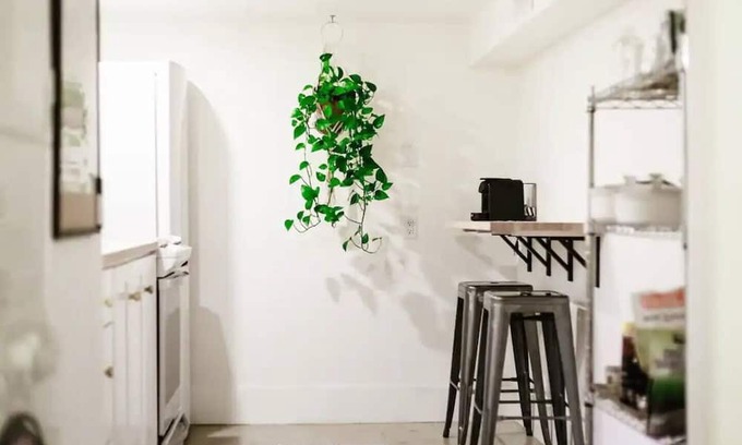 South Central House | This house is a 1 bedroom(s), 1 bathrooms, located in Kelowna, BC.