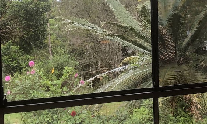 Mount Tamborine Apartment | Golf Course Retreat Mountain Sanctuary