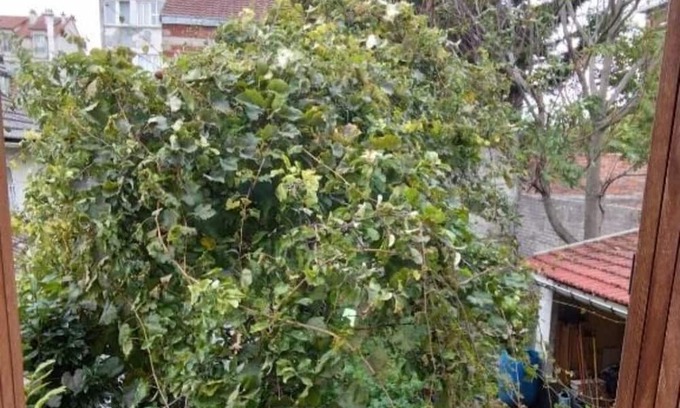 La Courneuve Cabin | Chambre d'hôtes