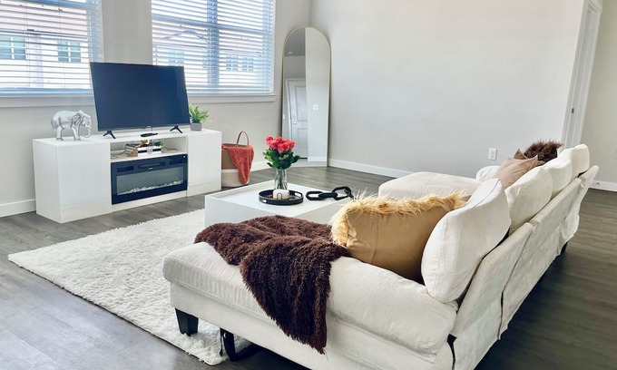 Willow Meadows/Willowbend Area Apartment | Luxury Apartment Near NRG Stadium!