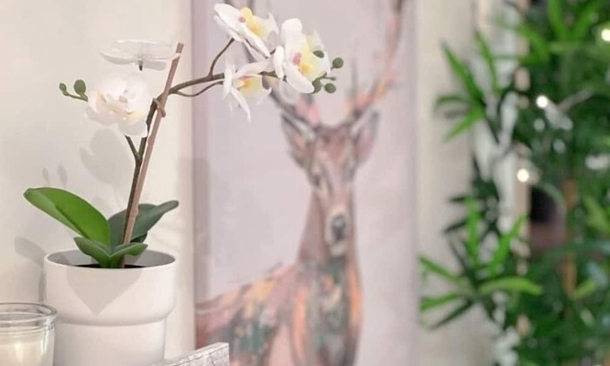 Pas de la Casa Apartment | Stunning views in a luxury apartment for 6 people