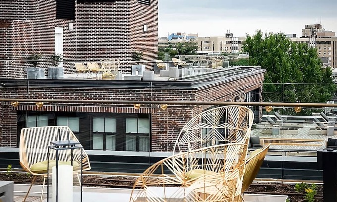 Adams Morgan House | Pet-Friendly Oasis, Arts & Comfort, DC Retreat for All, 4 Relaxing Units!