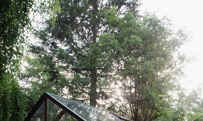 Courtenay House | For those seeking a unique getaway with modern comfort and natural beauty!