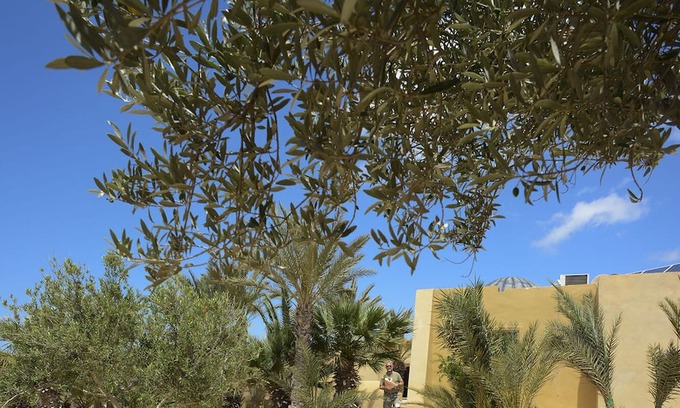 Mellita House | Dar Almassa