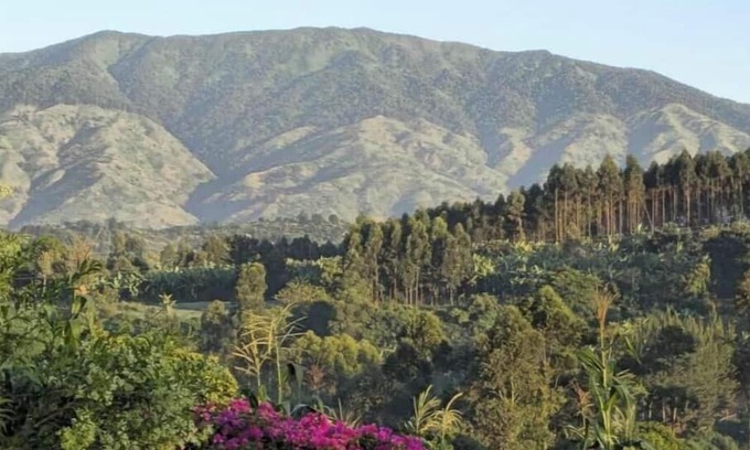 Kitojo Cottage | Kaije Country Cottages unit 3