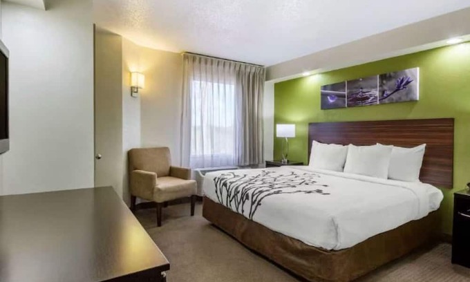 Temple Terrace Hotel | Great Tampa Location — Near Busch Gardens, Adventure Island & Freeway Access