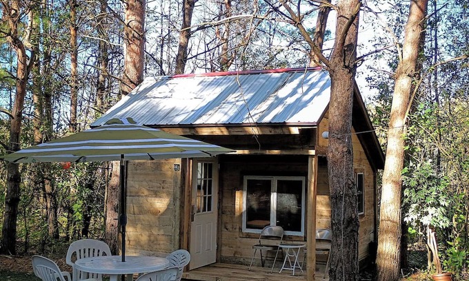Cass City Cabin | Rustic cabin, quite get away, or hunting Basecamp