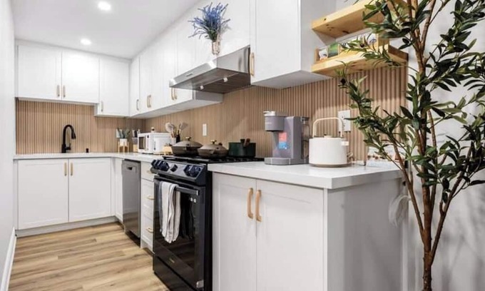 Hamilton Apartment | Private Brand New Basement with Side Entrance