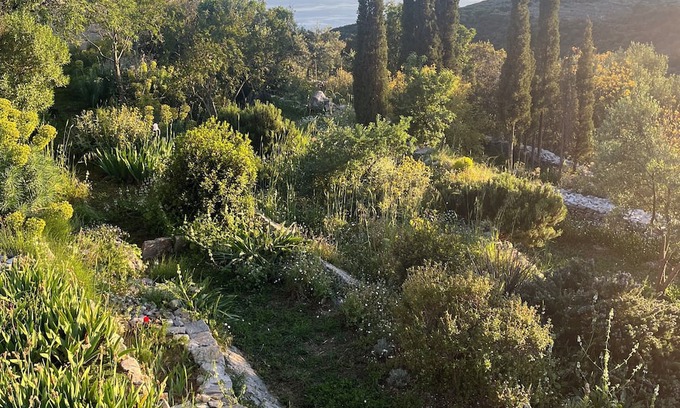 Lefktron House | Eco retreat between mountain and sea, 15 minutes to Kardamyli and its beaches