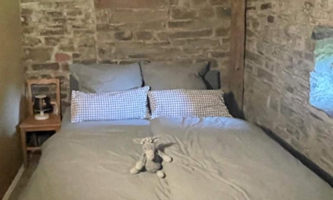 Bongard Apartment | 2-bed vacation apartment shower/WC, incl. donkey hike - Donkey hike Eifel,