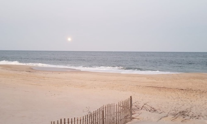 Davis Park Cottage | Idyllic Cozy Cottage in Davis Park, Fire Island - Weekly Rentals Now Available!