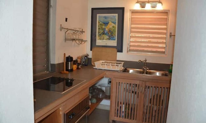 Saint Paul Parish Apartment | Falmouth Beach Apartment D3- Papaya