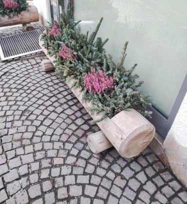 Calangianus Apartment | La casetta mia
