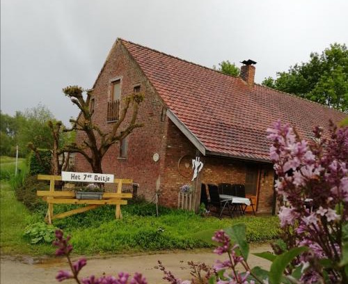 Veerle House | Het zevende geitje
